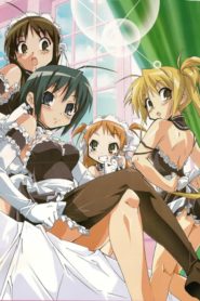 Kore Ga Watashi No Goshujin-sama: Season 1