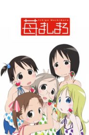 Ichigo Mashimaro: Season 1