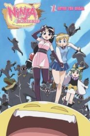 ニニンがシノブ伝: Season 1