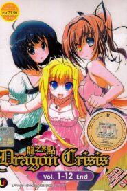 Dragon Crisis!: Season 1