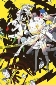 Persona 4: The Animation: Season 1