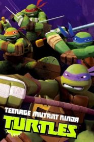 Teenage Mutant Ninja Turtles – 2012