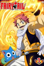 Fairy Tail: Season 1