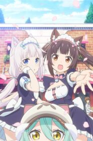 Nekopara: Season 1