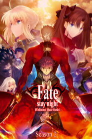 Fate/Stay Night [Unlimited Blade Works]: Season 2