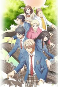 Kono Oto Tomare!: Season 1