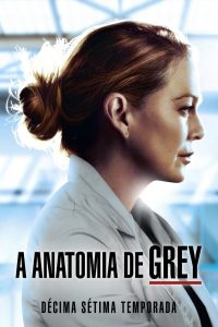 Grey’s Anatomy: Season 17