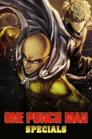 One Punch Man: Especiais