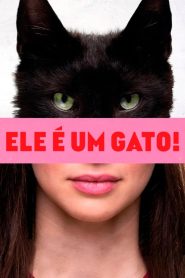 Ele é Um Gato!